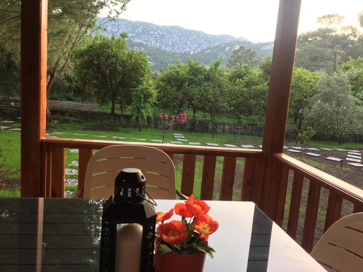 şeker bungalov Apartment Cirali Bagian luar foto