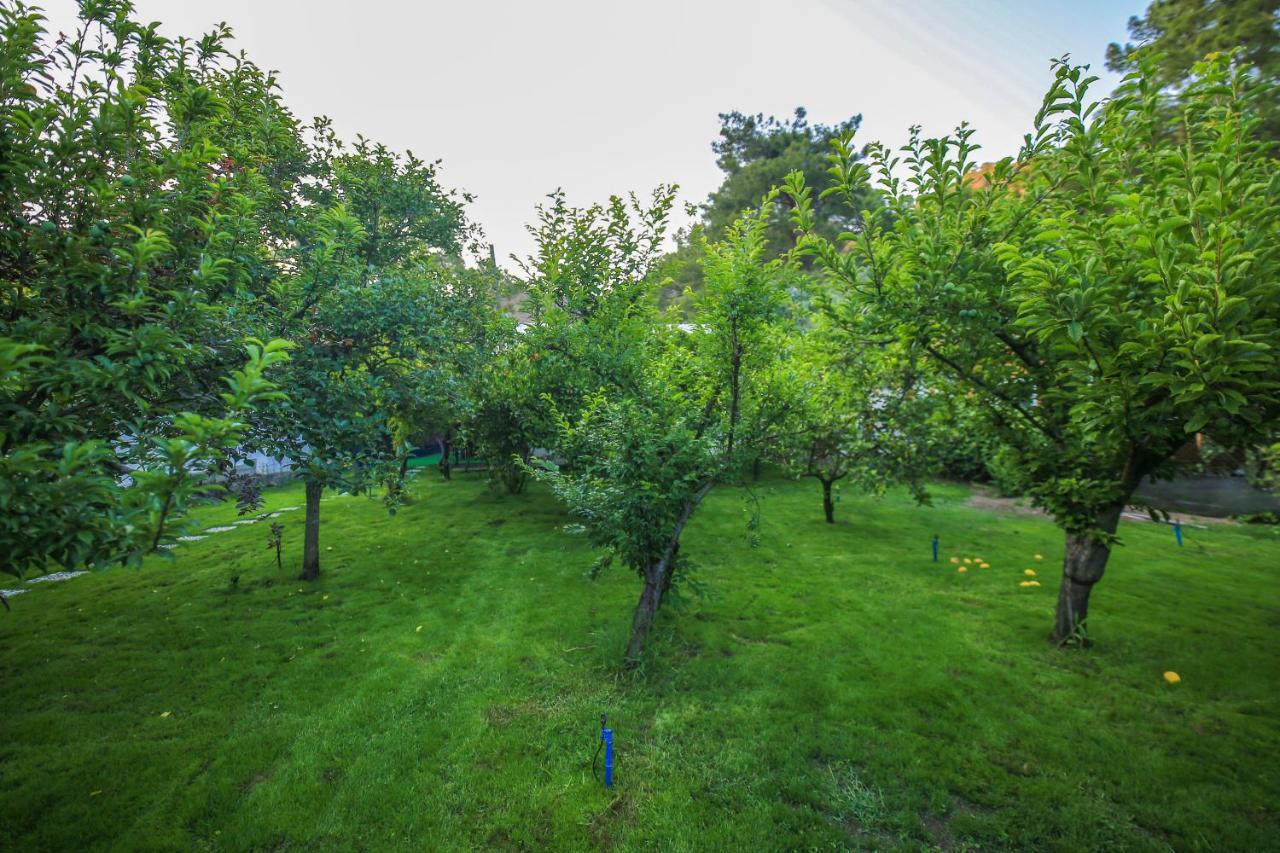 şeker bungalov Apartment Cirali Bagian luar foto
