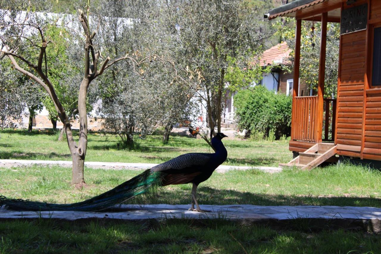 şeker bungalov Apartment Cirali Bagian luar foto