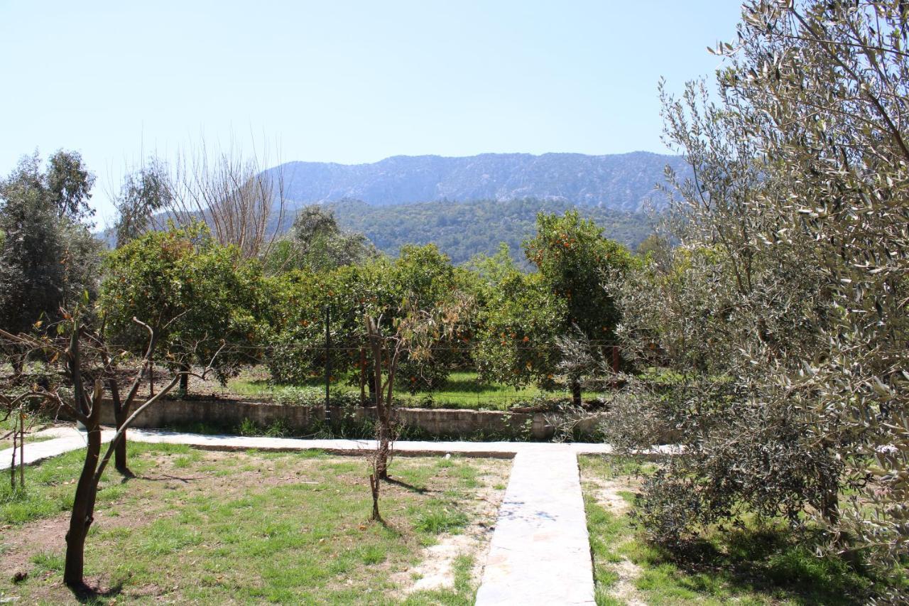 şeker bungalov Apartment Cirali Bagian luar foto