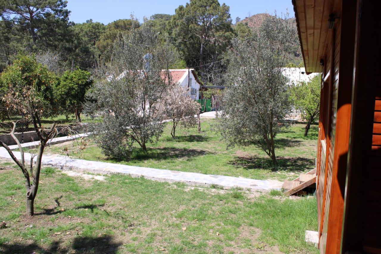 şeker bungalov Apartment Cirali Bagian luar foto
