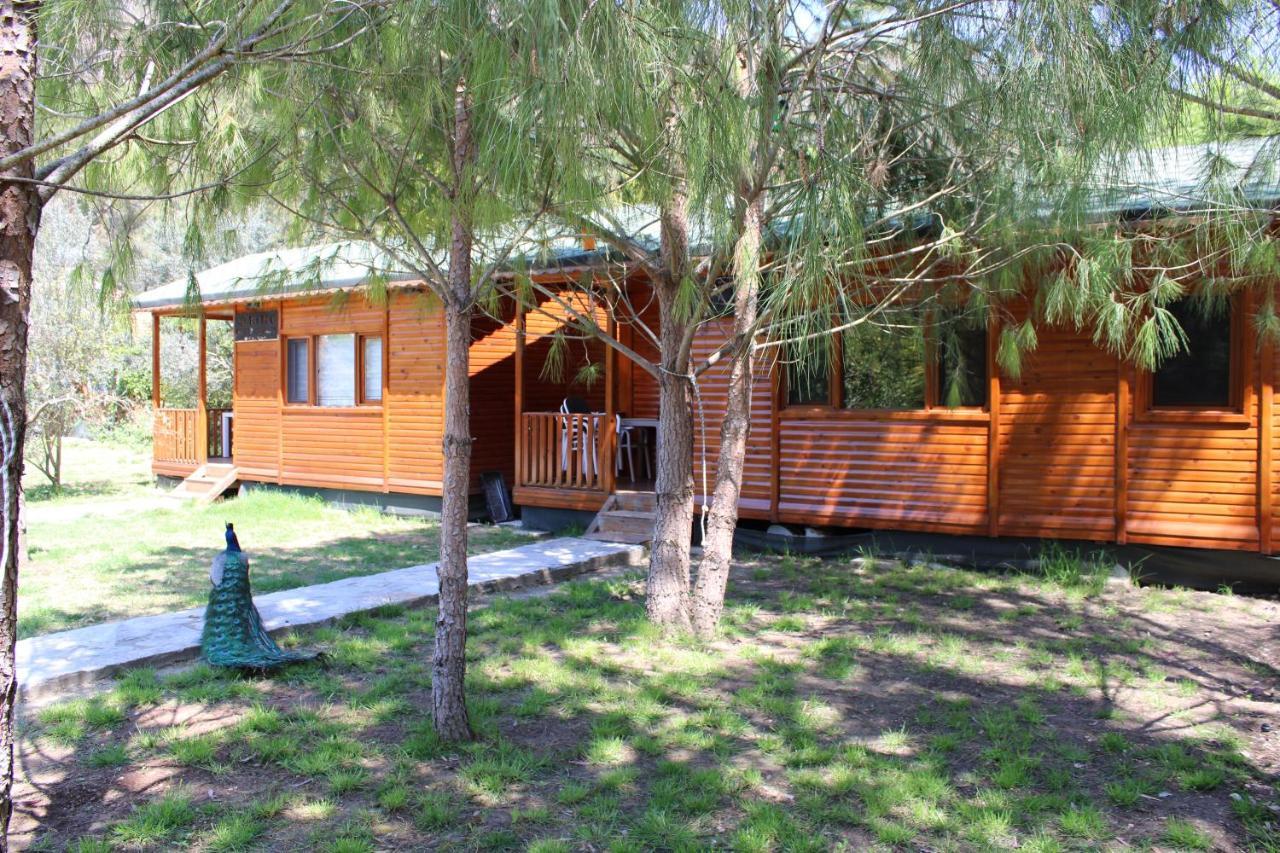 şeker bungalov Apartment Cirali Bagian luar foto