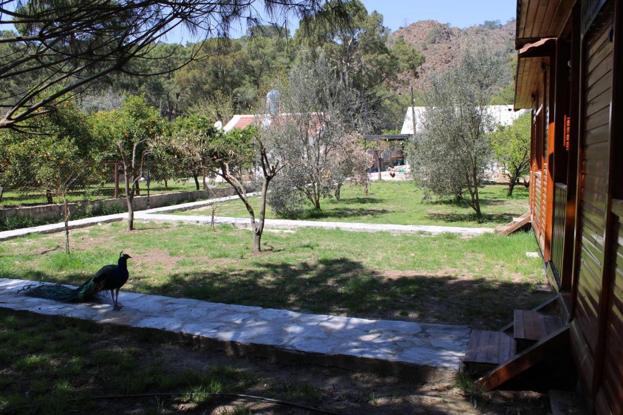 şeker bungalov Apartment Cirali Bagian luar foto