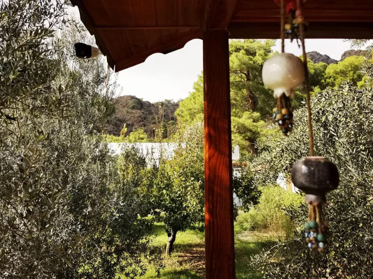 şeker bungalov Apartment Cirali Bagian luar foto