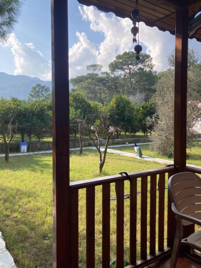 şeker bungalov Apartment Cirali Bagian luar foto